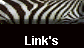  Link's 